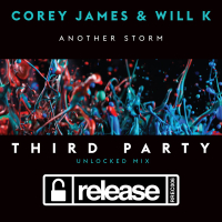 Another Storm (Third Party Unlocked Mix) (Single)