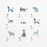 닮아있어 (Single)