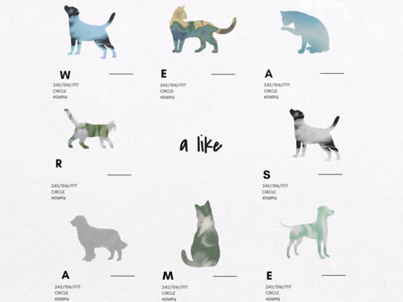 닮아있어 (Single)