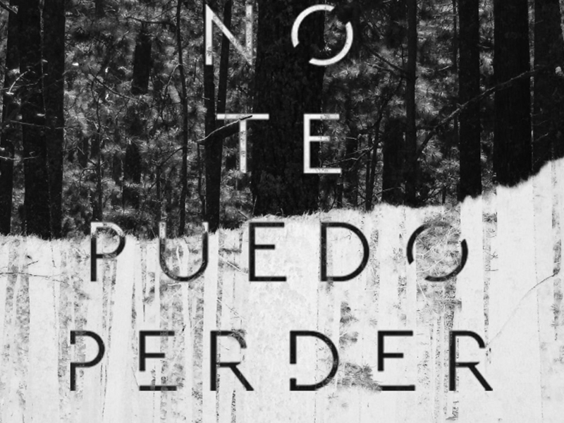 No Te Puedo Peder (Single)