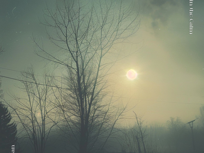 Held in the Calm (Single)