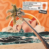 Summertime Sadness (Single)