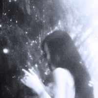 steel flower (Single)