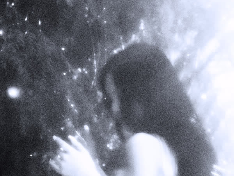 steel flower (Single)