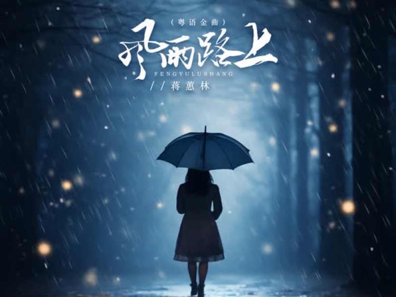 风雨路上 (DJ京仔版) (Single)