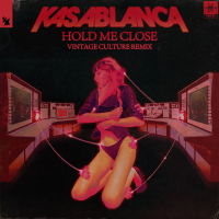 Hold Me Close (Vintage Culture Remix) (Single)