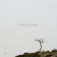 Invisible Birds (Single)
