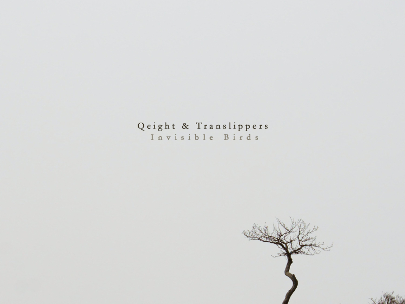 Invisible Birds (Single)