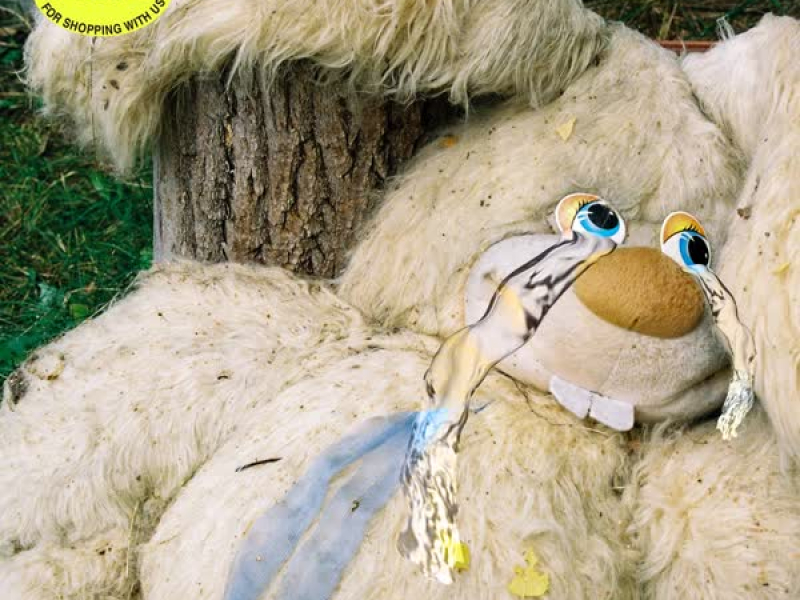 Our Paradise (Single)