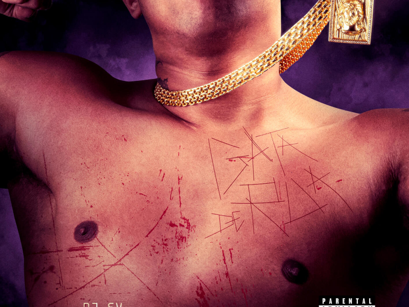 Gata de Rua (Single)