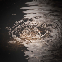 Footsteps in Puddles Sounds with Light Rain for Instant Relaxation (Single)