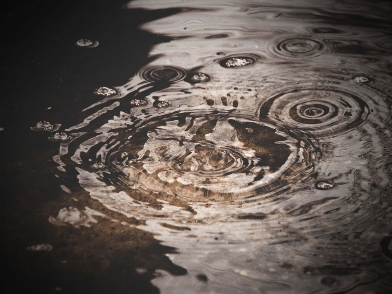 Footsteps in Puddles Sounds with Light Rain for Instant Relaxation (Single)