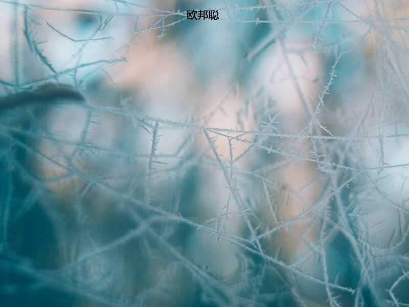 人走茶凉一场空 (女生版) (Single)