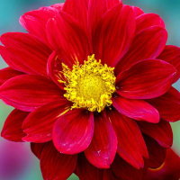 Путь Надежды