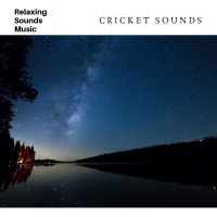 Relaxing Outside Cricket Sounds (Single)