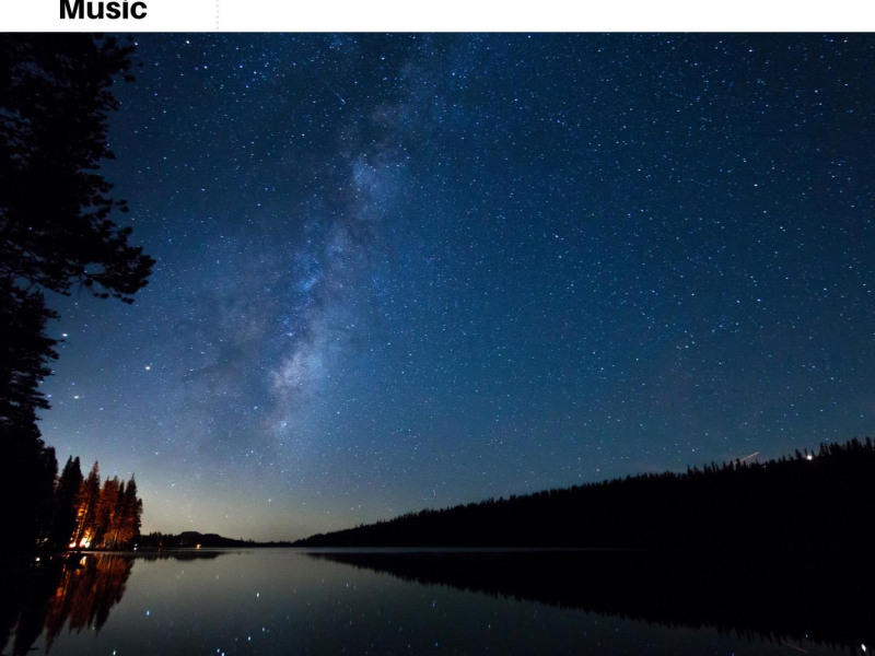 Relaxing Outside Cricket Sounds (Single)