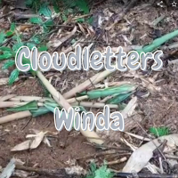 Cloudletters (Single)