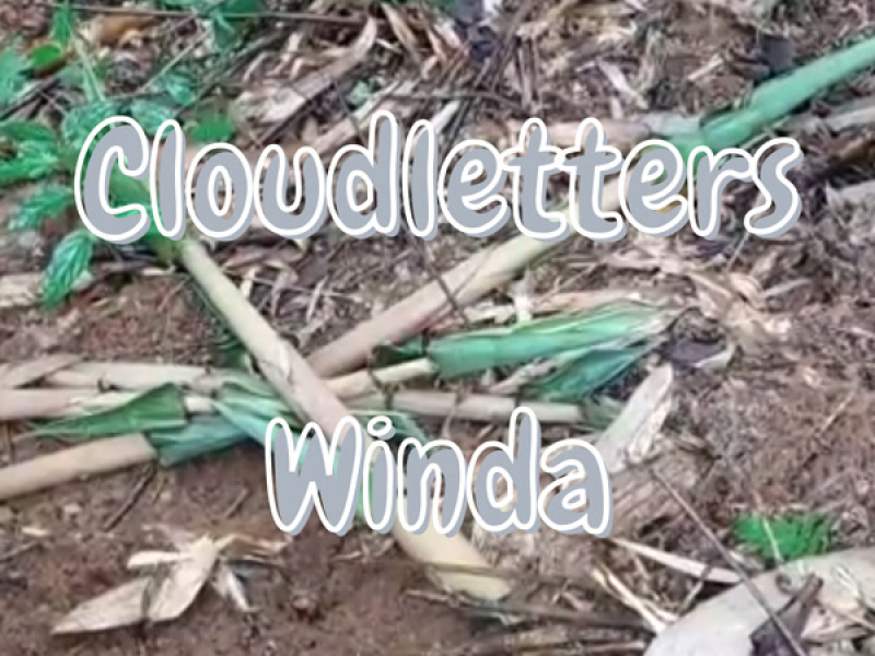 Cloudletters (Single)