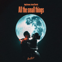 All the Small Things (Single)