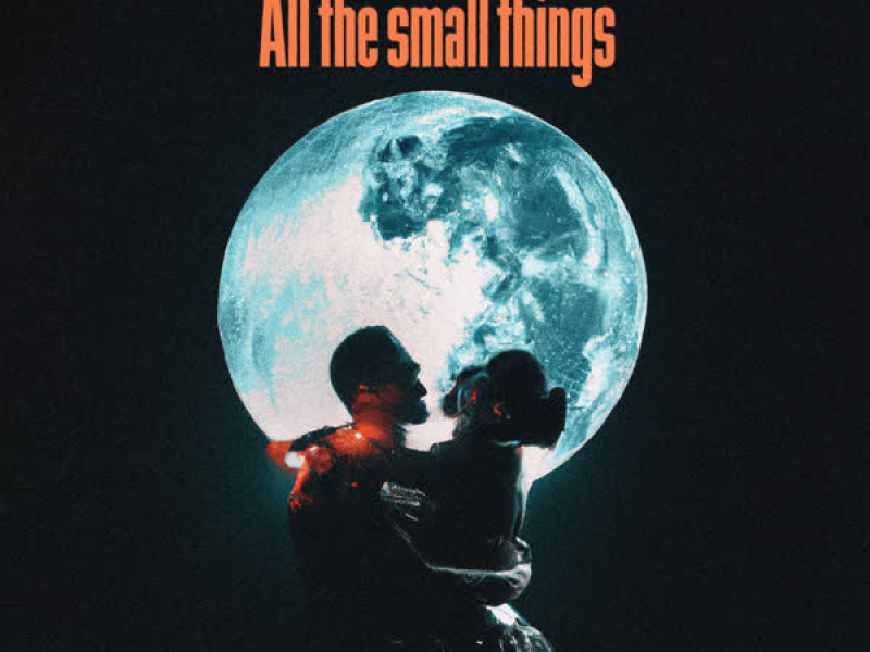 All the Small Things (Single)