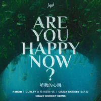 Are You Happy Now (Crazy Donkey Remix) (Single)