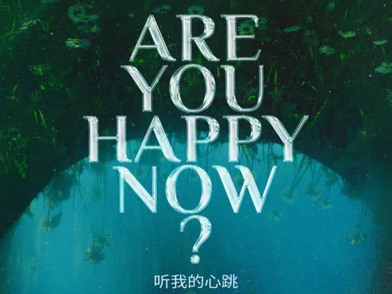 Are You Happy Now (Crazy Donkey Remix) (Single)