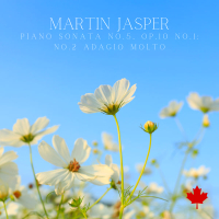 Piano Sonata No.5, Op.10 No.1: No.2 Adagio molto (Single)