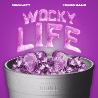 Wocky Life (feat. Fredo Bang) (Single)