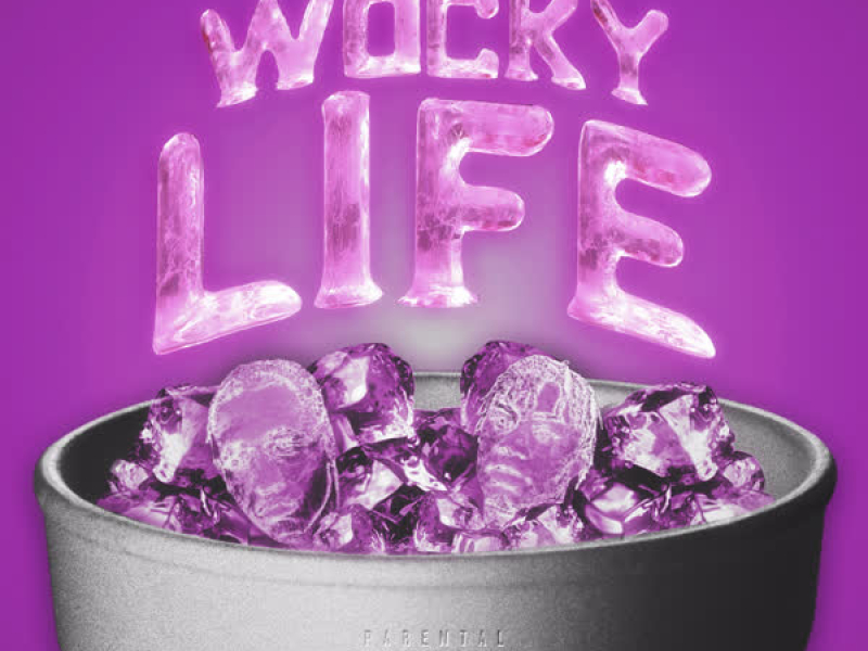 Wocky Life (feat. Fredo Bang) (Single)