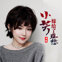 小芳嫁给了理想 (Single)