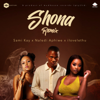 Shona (Remix) (Single)