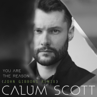 You Are The Reason (John Gibbons Remix) (Single)