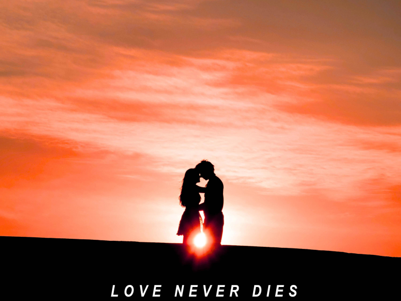 Love Never Dies (Single)