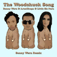 The Woodchuck Song (Sonny Wern Remix) (Single)