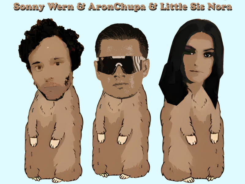 The Woodchuck Song (Sonny Wern Remix) (Single)