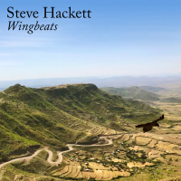 Wingbeats (Single)