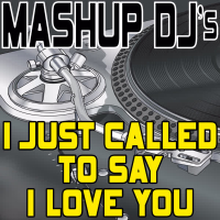 I Just Called To Say I Love You (Remix Tools For Mash-Ups)