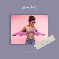Picture (Kokiri Remix) (Single)