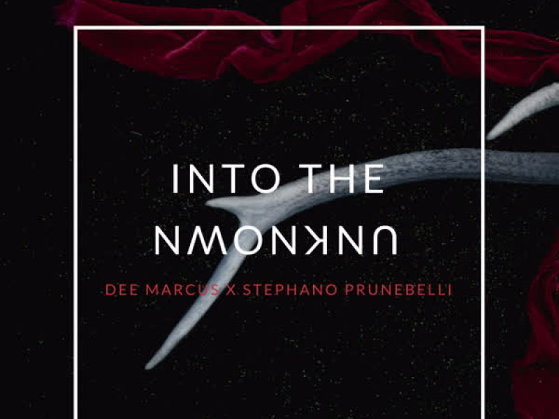 Into the Unknown (Single)