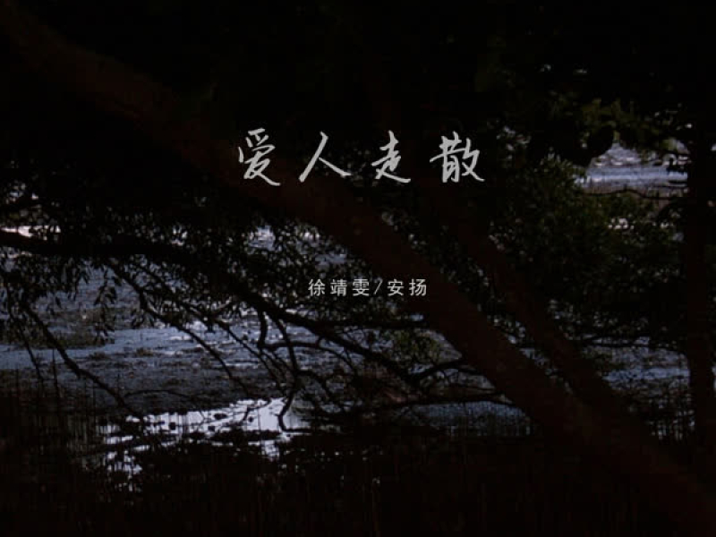 爱人走散 (Single)