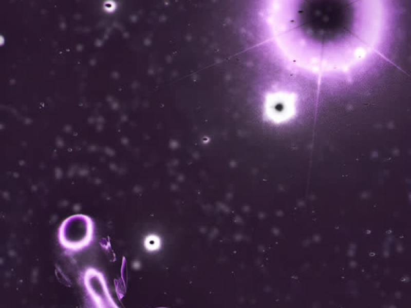 Memory Blame (Single)