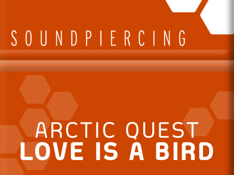 Love Is A Bird (Single)