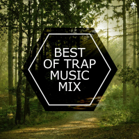 Best of Trap Music Mix (Single)