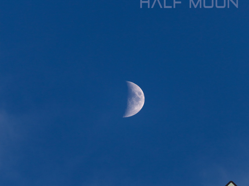 Half Moon (Single)