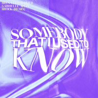 Somebody That I Used To Know (brock Remix) (Single)
