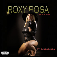 Ups & Downs (Single)