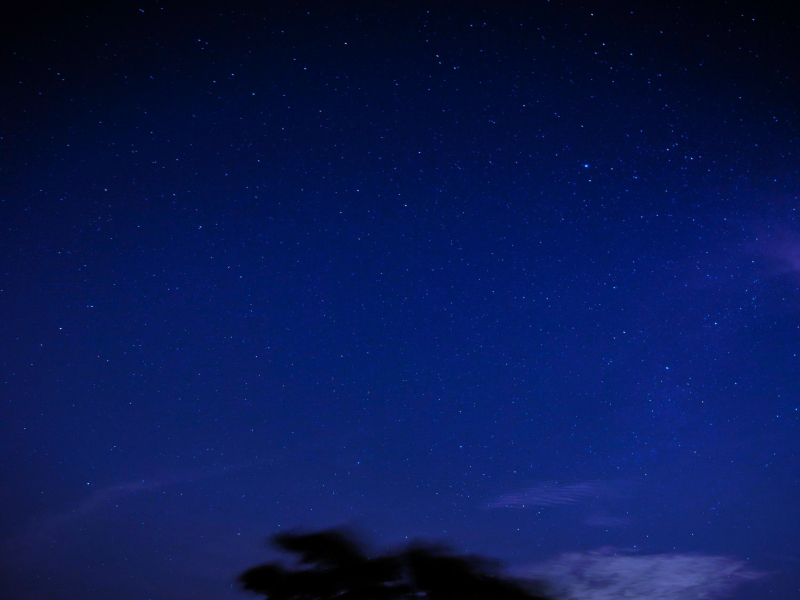 Wonder - Slowed (Single)