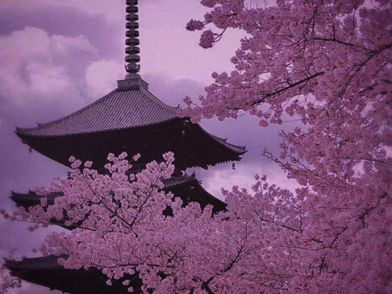 Pensamentos Intrigantes (Single)