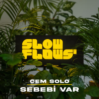 Sebebi Var (Akustik) (Single)