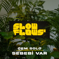 Sebebi Var (Akustik) (Single)